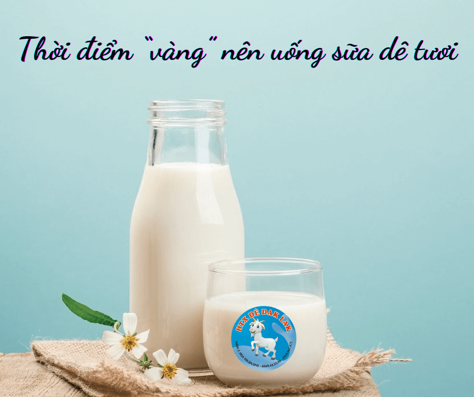 Thời điểm “vàng” nên uống sữa dê tươi