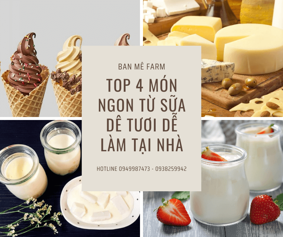 Top 4 món ngon từ sữa dê tươi dễ làm tại nhà