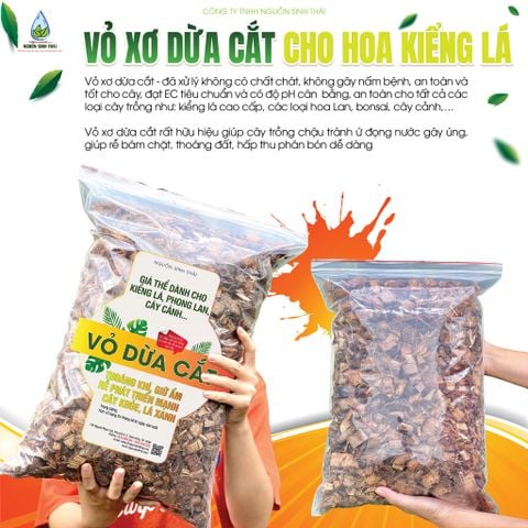 Mẹo Trồng Lan & Hoa Kiểng Lá Tốt Bằng Vỏ Dừa Cắt Đã Xử Lý – Giữ Ẩm Hoàn Hảo, Cây Khỏe, Lá Xanh