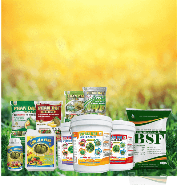 Hướng Dẫn Cải Tạo Đất Trồng Rau Sạch Tại Nhà – Bí Quyết Từ Nguồn Sinh Thái