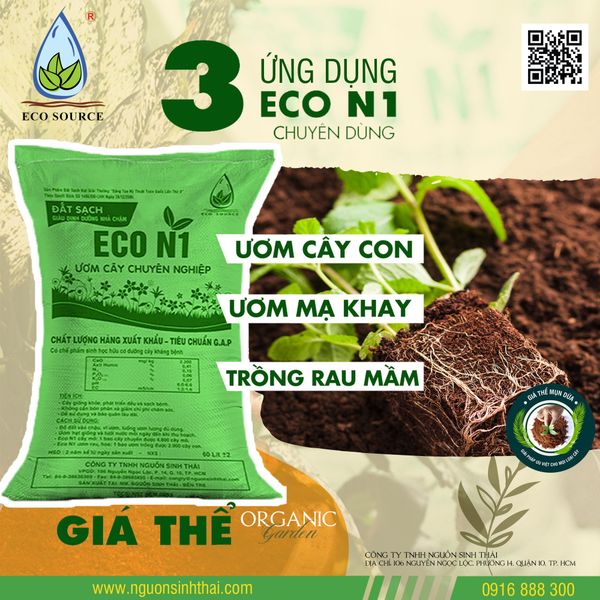 Canh Tác Hồ Tiêu Bền Vững – Giải Pháp Cho Nền Nông Nghiệp An Toàn