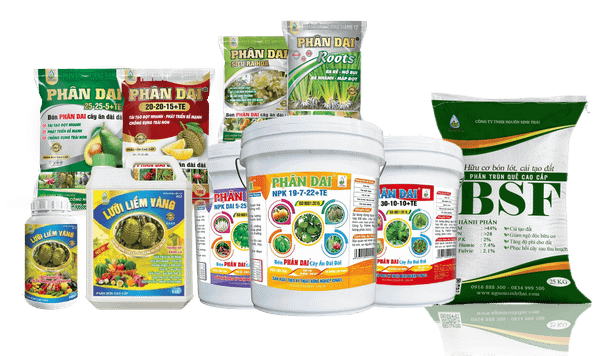 KỸ THUẬT TRỒNG CHANH DÂY ĐẠT NĂNG SUẤT CAO TỪ GIAI ĐOẠN CHUẨN BỊ ĐẾN THU HOẠCH