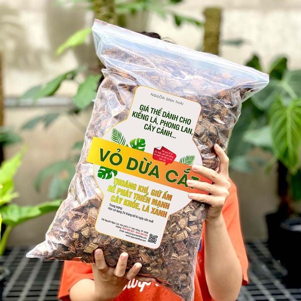 Trồng lan dễ sống – rễ khỏe nhờ vỏ dừa cắt