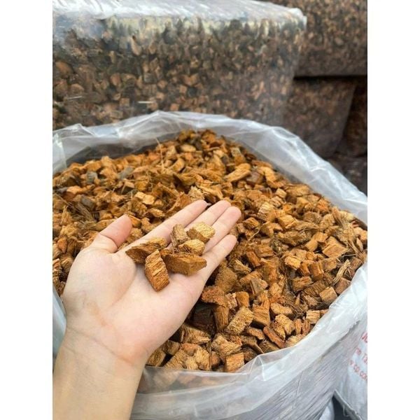 Vỏ Dừa Cắt Đã Xử Lý – Giá Thể Tự Nhiên Lý Tưởng Cho Mọi Loại Cây Trồng