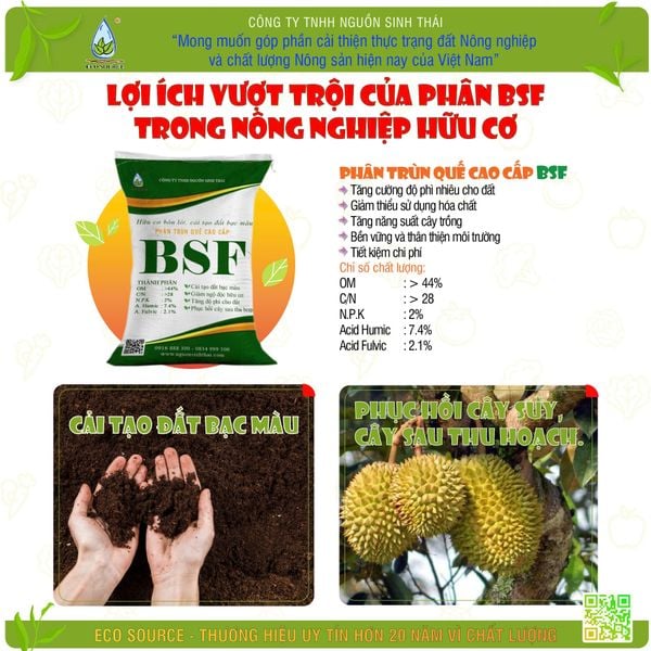 Nguy cơ từ phân bón lậu chứa Cadimi