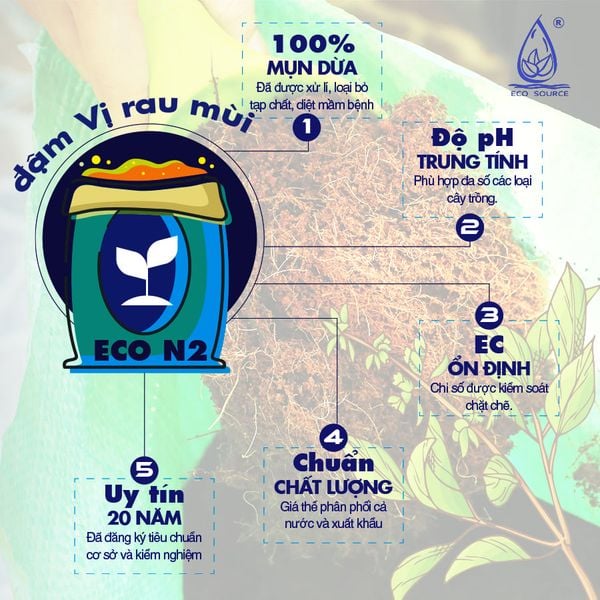 Hướng Dẫn Cải Tạo Đất Trồng Rau Sạch Tại Nhà – Bí Quyết Từ Nguồn Sinh Thái