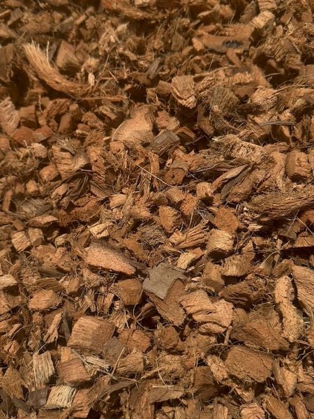 Vỏ Dừa Cắt Đã Xử Lý – Giá Thể Tự Nhiên Lý Tưởng Cho Mọi Loại Cây Trồng