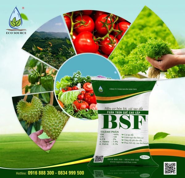 Ứng dụng Biochar (than sinh học) để hấp thụ Cadimi trong đất