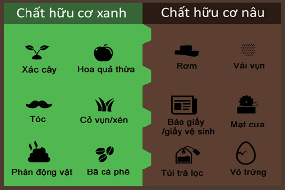 BẢO VỆ MÔI TRƯỜNG BẰNG CÁCH SỬ DỤNG PHÂN BÓN HỮU CƠ TỰ Ủ TẠI NHÀ