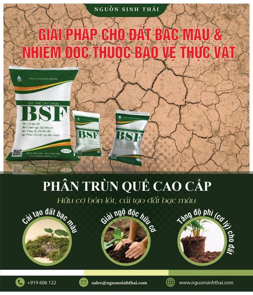 Phân Hữu Cơ BSF – Trợ thủ Sinh Học Cho Vườn Cà Phê Khỏe