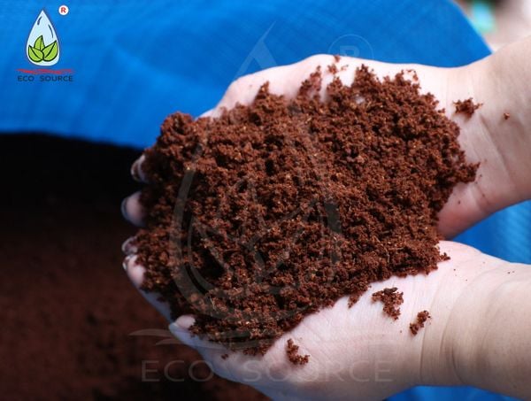 KỸ THUẬT TRỒNG CHANH DÂY ĐẠT NĂNG SUẤT CAO TỪ GIAI ĐOẠN CHUẨN BỊ ĐẾN THU HOẠCH