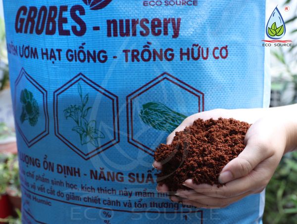Cà Phê Bền Vững Bắt Đầu Từ Giá Thể Mụn Dừa