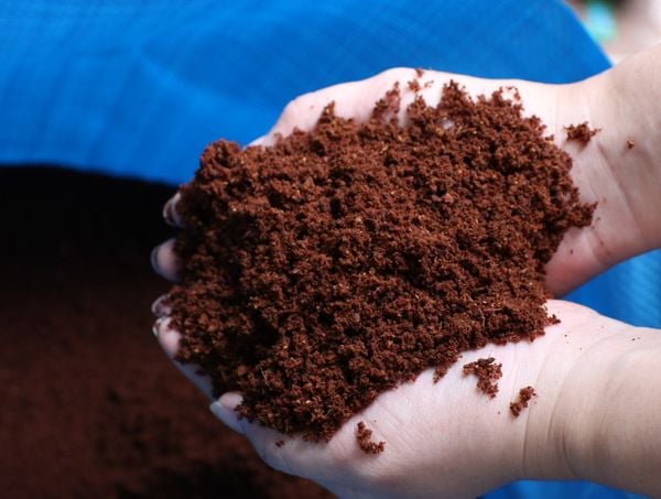 Sự Khác Biệt Giữa Mụn Dừa Từ Vỏ Dừa Khô Và Vỏ Dừa Tươi – Chọn Loại Nào Tốt Hơn?
