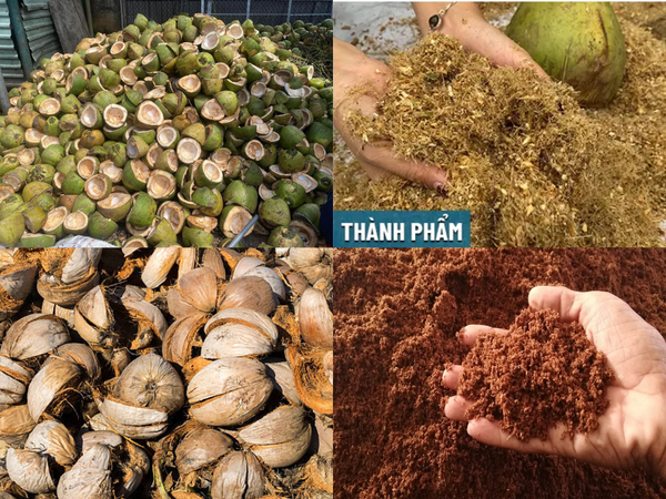 Sự Khác Biệt Giữa Mụn Dừa Từ Vỏ Dừa Khô Và Vỏ Dừa Tươi – Chọn Loại Nào Tốt Hơn?
