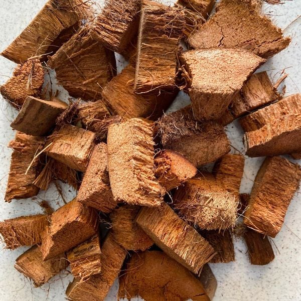 Trồng lan dễ sống – rễ khỏe nhờ vỏ dừa cắt