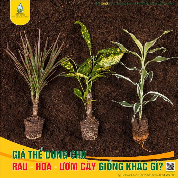 Giá thể hữu cơ dùng cho rau – hoa – cây giống có gì đặc biệt?