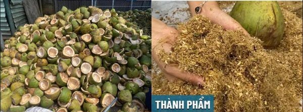 Sự Khác Biệt Giữa Mụn Dừa Từ Vỏ Dừa Khô Và Vỏ Dừa Tươi – Chọn Loại Nào Tốt Hơn?