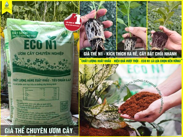Giá thể hữu cơ dùng cho rau – hoa – cây giống có gì đặc biệt?