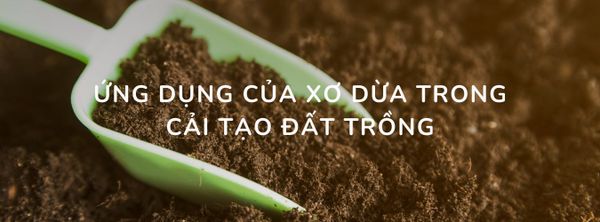 Vỏ Dừa Cắt – Giải Pháp Cải Tạo Đất Bạc Màu, Chai Cứng Hiệu Quả Cho Nhà Vườn