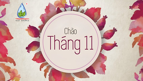 TOP 10 LOẠI CÂY TỐT NHẤT ĐỂ TRỒNG VÀO THÁNG 11