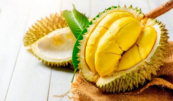 Cấp chứng nhận kiểm định và liên kết với phòng lab đạt chuẩn