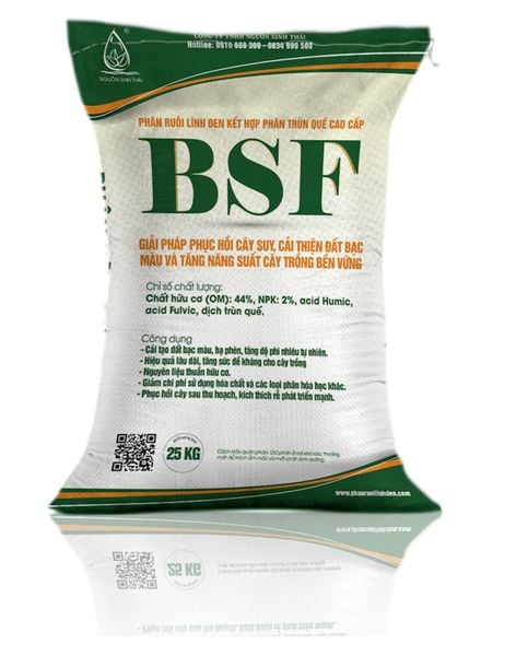 Ứng dụng Biochar (than sinh học) để hấp thụ Cadimi trong đất