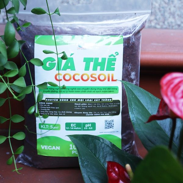 COCOSOIL - LỰA CHỌN HOÀN HẢO CHO RAU MẦM VÀ CÂY CON