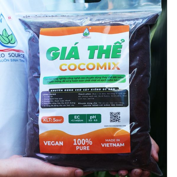 Giá thể CocoMix – Sự Lựa Chọn Tốt Nhất Cho Cây Kiểng Để Bàn