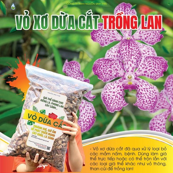 Mẹo Trồng Lan Tốt Bằng Vỏ Dừa Cắt Đã Xử Lý – Giữ Ẩm Hoàn Hảo, Rễ Khỏe, Hoa Nhiều