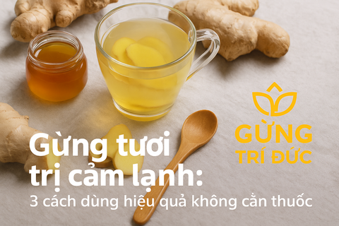 Gừng tươi trị cảm lạnh: 3 cách dùng hiệu quả không cần thuốc