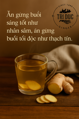 “Gừng buổi tối độc như thạch tín” – Một sự hiểu sai kéo dài quá lâu