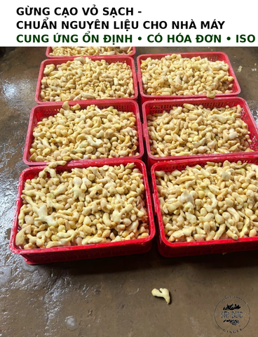 Gừng cạo vỏ – Giải pháp nguyên liệu sạch, ổn định cho các nhà máy thực phẩm