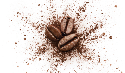 Thành phần hóa học trong hạt cà phê bao gồm những chất gì?