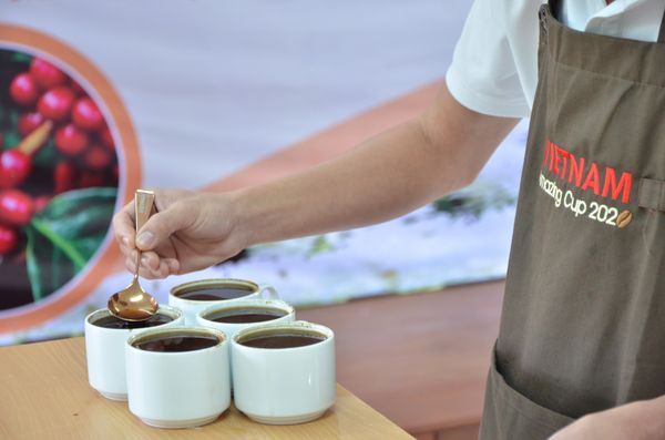 Cuộc thi cà phê đặc sản Việt Nam 2021 - VietNam Amazing Cup 2021