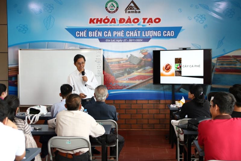 Đào tạo khóa học Chế biến cà phê chất lượng cao năm 2024