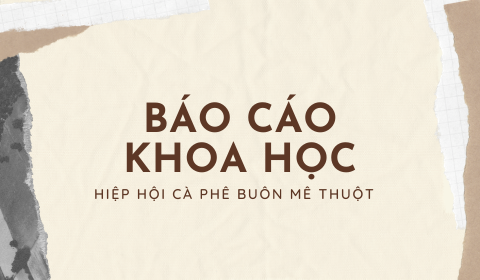 Thành phần hóa học trong hạt cà phê bao gồm những chất gì?