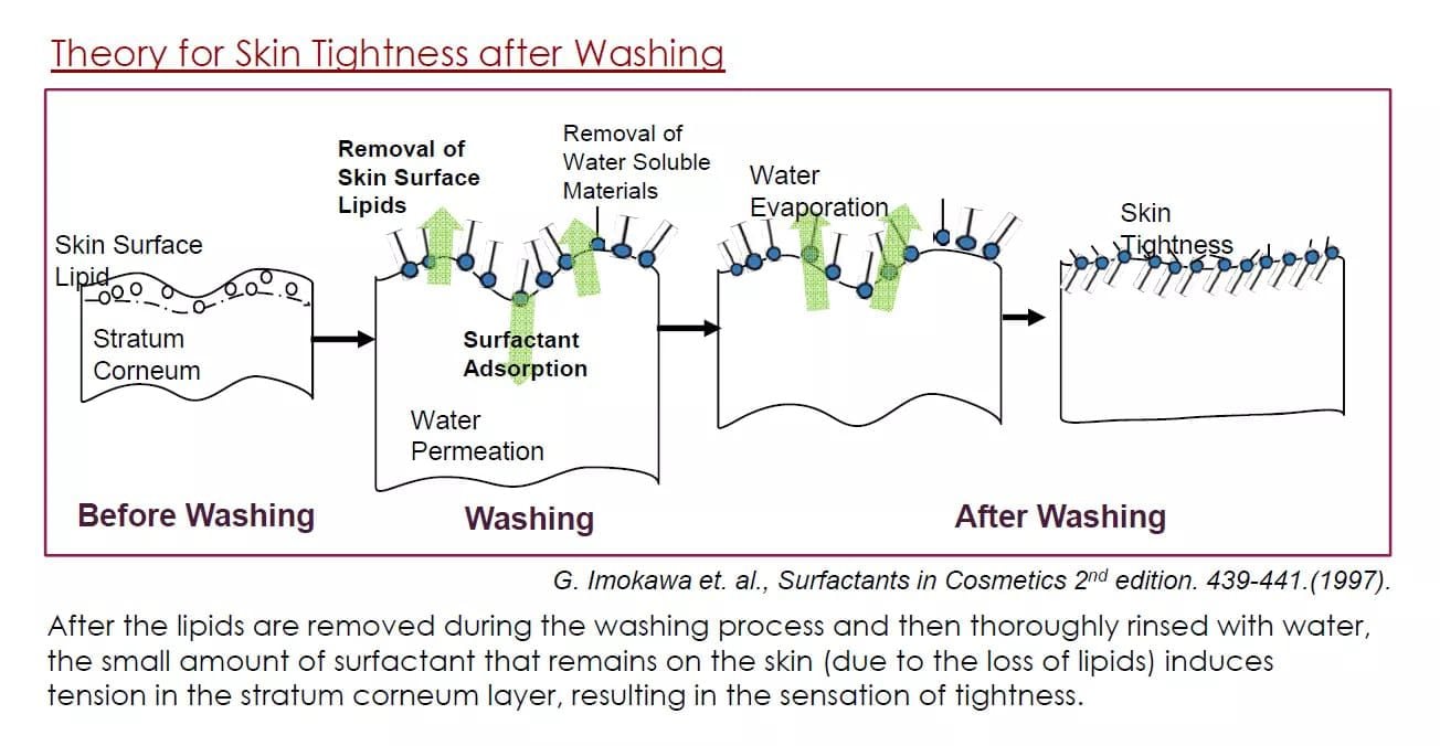 Chất hoạt động bề mặt - Chất tẩy rửa: Nguyên lý và ứng dụng trong SRM