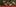 https://file.hstatic.net/200000278317/collection/main-category-banner-2025-tf_37d6d87196f14a8ca121e4d21bbb3cf9.jpg
