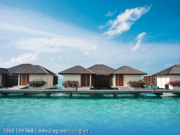 Khám Phá Vẻ Đẹp Bungalow Phú Quốc Thiên Đường Nghỉ Dưỡng Tuyệt Vời