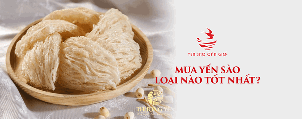 Mua Tổ Yến Sào Loại Nào Tốt Nhất - Yến Sào Cần Giờ