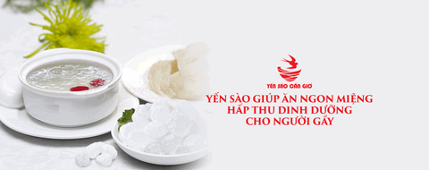 Yến Sào Giúp Ăn Ngon Miệng Hấp Thu Dinh Dưỡng Cho Người Gầy