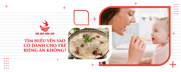 Tìm Hiểu Yến Sào Có Dành Cho Trẻ Biếng Ăn Không?