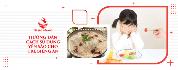 Hướng Dẫn Cách Sử Dụng Yến Sào Cho Trẻ Biếng Ăn
