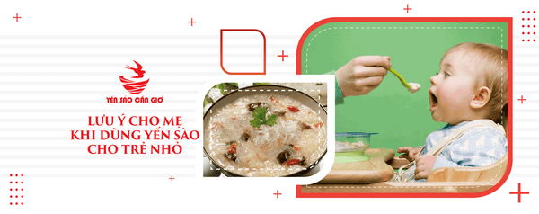 Tất Tần Tật Lưu Ý Cho Mẹ Khi Dùng Yến Sào Cho Trẻ Nhỏ