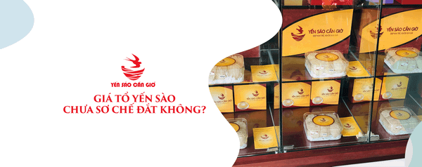 Giá Tổ Yến Sào Chưa Sơ Chế Đắt Không?