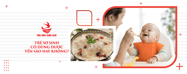Trẻ Sơ Sinh Có Dùng Được Yến Sào Hay Không?