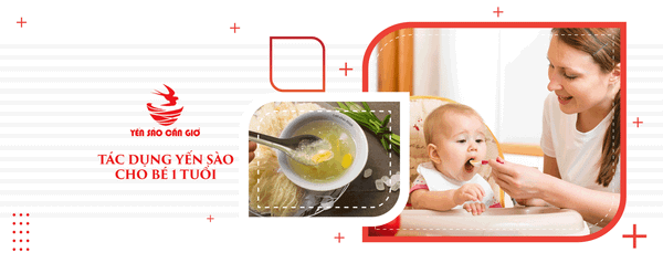 Tác Dụng Yến Sào Cho Bé 1 Tuổi - Liều Lượng Và Cách Cho Trẻ Dùng Đúng Cách