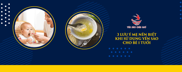 3 Lưu Ý Mẹ Nên Biết Khi Sử Dụng Yến Sào Cho Bé 1 Tuổi
