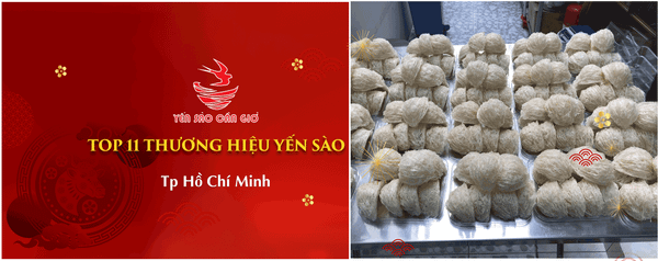 Top 11 Địa Chỉ Mua Yến Sào Chất Lượng Và Uy Tín Nhất Tp HCM