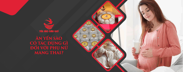 Ăn Yến Sào Có Tác Dụng Gì Đối Với Phụ Nữ Mang Thai?